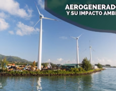 Y ENERGIA «El impacto ambiental de los aerogeneradores: una perspectiva sobre la energía renovable y ecológica